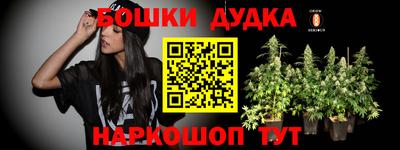 твердый Будённовск