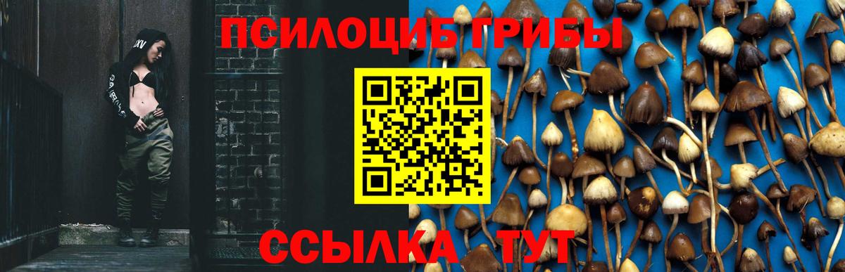 Галлюциногенные грибы мицелий  Вход с VPN  Тверь  Галлюциногенные грибы ЛСД 